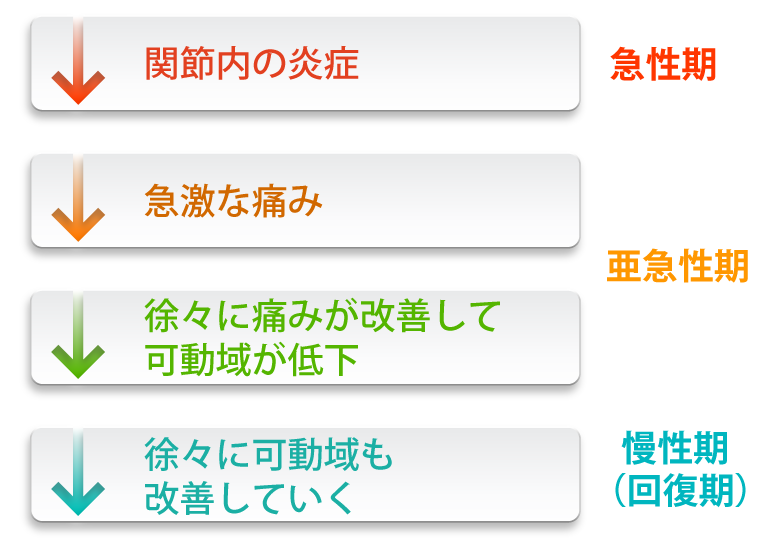 関節内の炎症(急性期)急激な痛み・徐々に痛みが改善して可動域が低下(亜急性期)徐々に可動域も改善していく(慢性期・回復期)