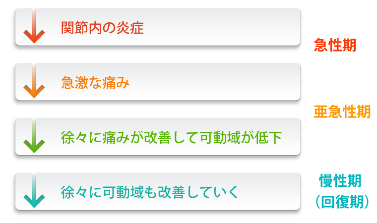 関節内の炎症(急性期)急激な痛み・徐々に痛みが改善して可動域が低下(亜急性期)徐々に可動域も改善していく(慢性期・回復期)